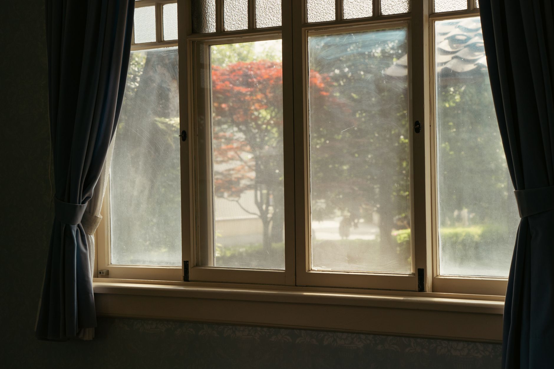Calm interior view of a garden through a sunlit window home