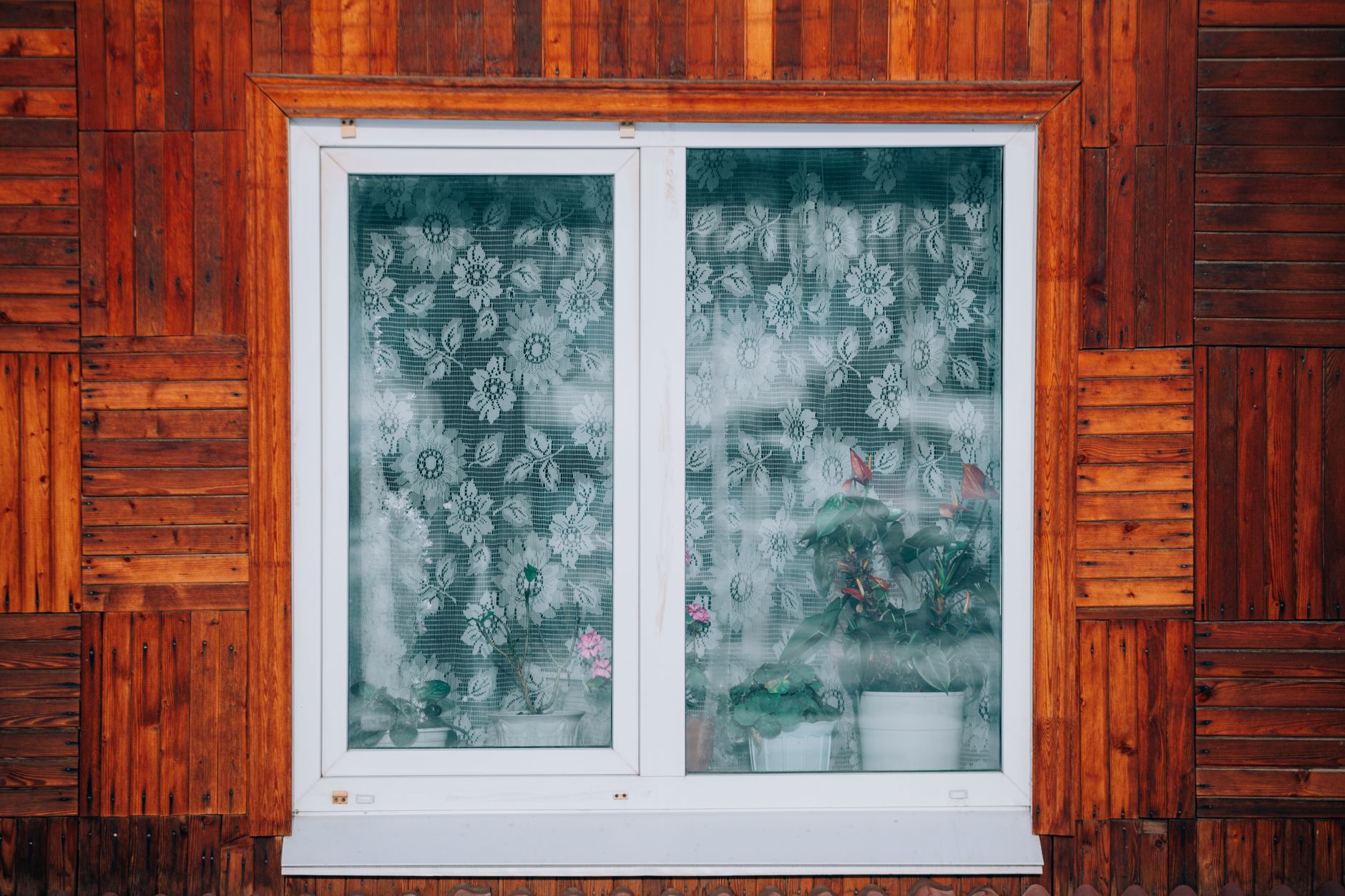 Close-up of a wooden house exterior with a floral curtain window revealing potted plants in San Bernardino, CA